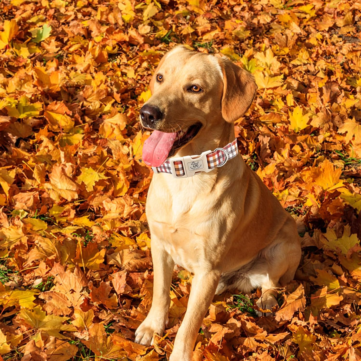 Elegant little tail Collar para perro, collar ajustable de otoño para perros pequeños, medianos y grandes, collares suaves para cachorros con
