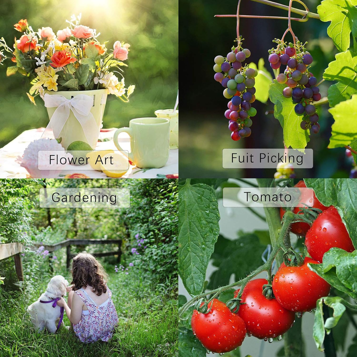 Leize Tijeras de flores, tijeras florales de acero inoxidable multifunción de alta calidad, podadora gruesa para flores, ramas y hojas (rosa)