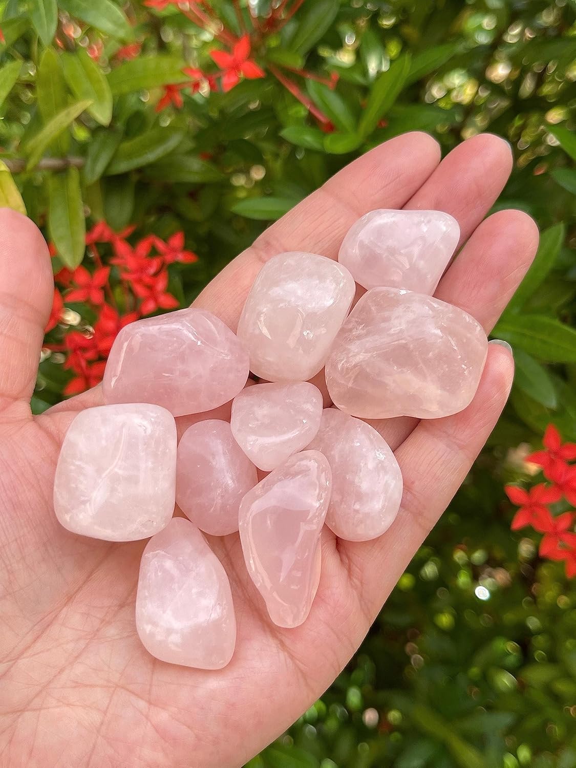 GAF TREASURES Piedras pulidas de 12 libra, piedra preciosa pulida, piedras pulidas, cristales caídos, piedras para Wicca, Reiki, terapia, meditación