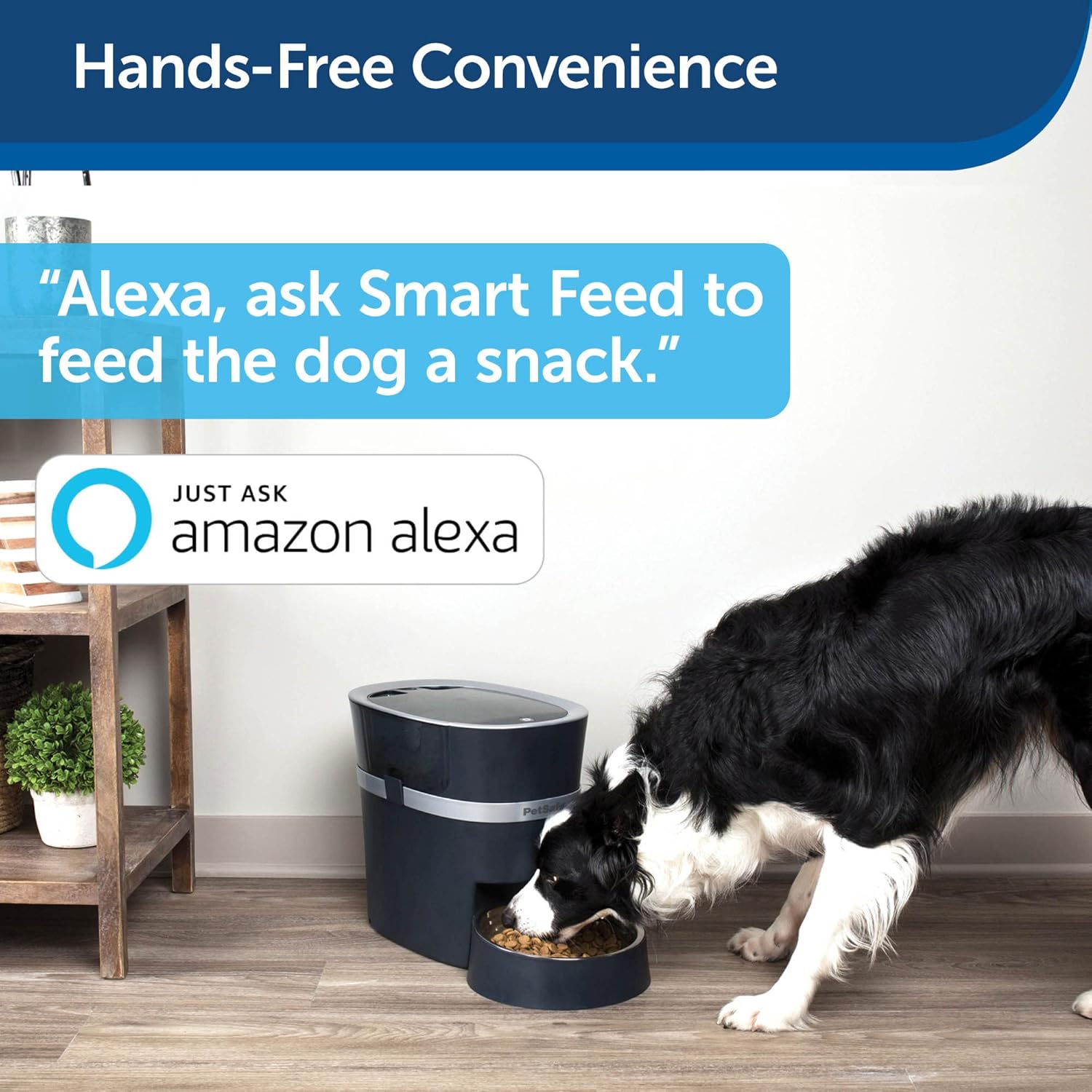 PetSafe Smart Feed – Comedero automático para perros y gatos, teléfono inteligente, compatible con Wi-Fi para teléfonos inteligentes iPhone y Android