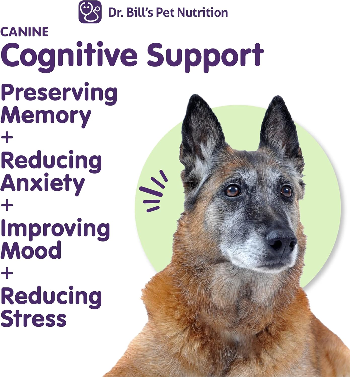 Dr. Bill’s Apoyo cognitivo canino  Suplemento de apoyo de memoria multivitamínico para perros  Contiene Gingko Biloba, L-Carnosina, Vitamina B-12,