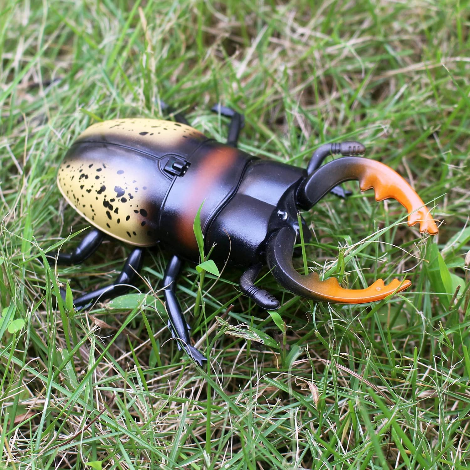 Tipmant RC Beetle Control remoto insectos realista simulación electrónica escalador animal broma vehículo de juguete regalos de cumpleaños para