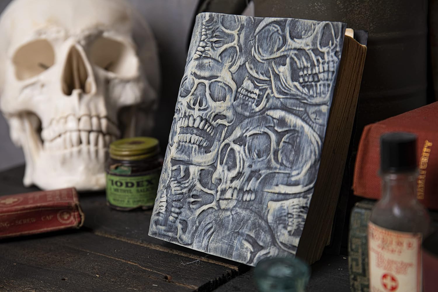 Sizzix Sizzx 3-D Texture Fades – Carpeta de estampado de bellotas por Tim Holtz  665772  Capítulo 3 2022, multicolor