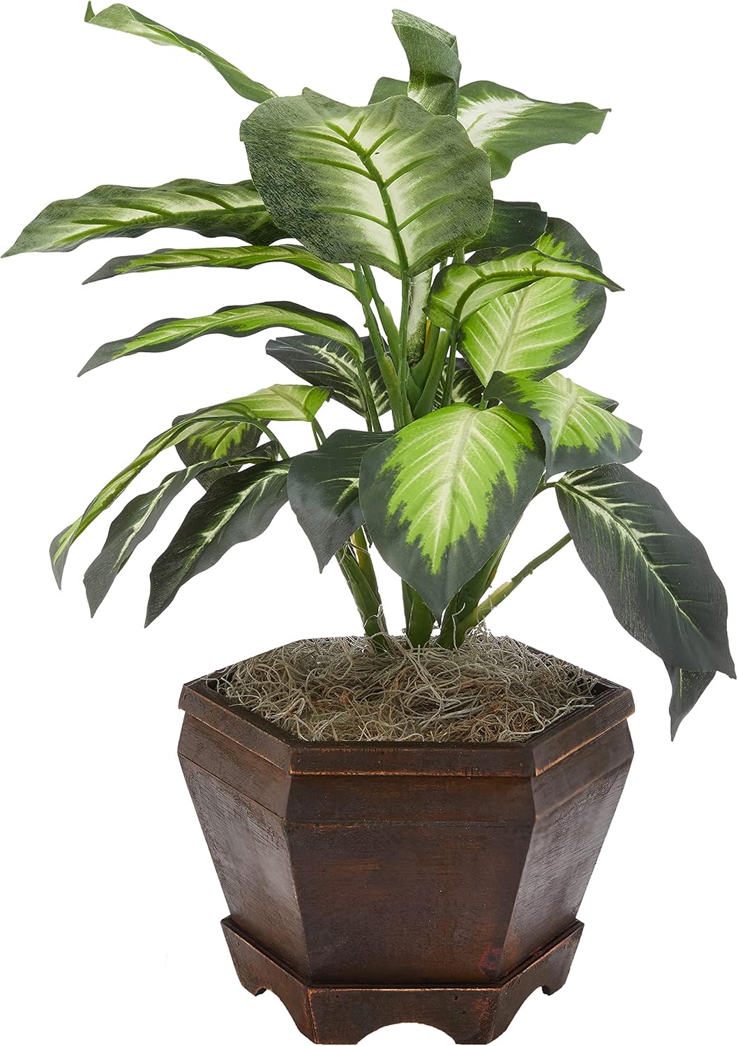 Nearly Natural Dieffenbachia dorada con jarrón de madera Planta de seda