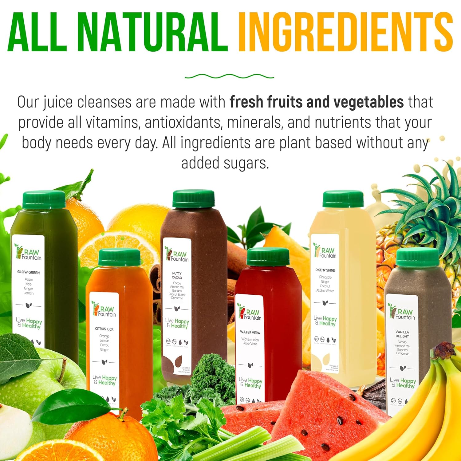 Raw Fountain, limpieza de jugo de proteína para 7 días, limpieza natural de desintoxicación cruda, frutas prensadas en frío, verduras, sabor