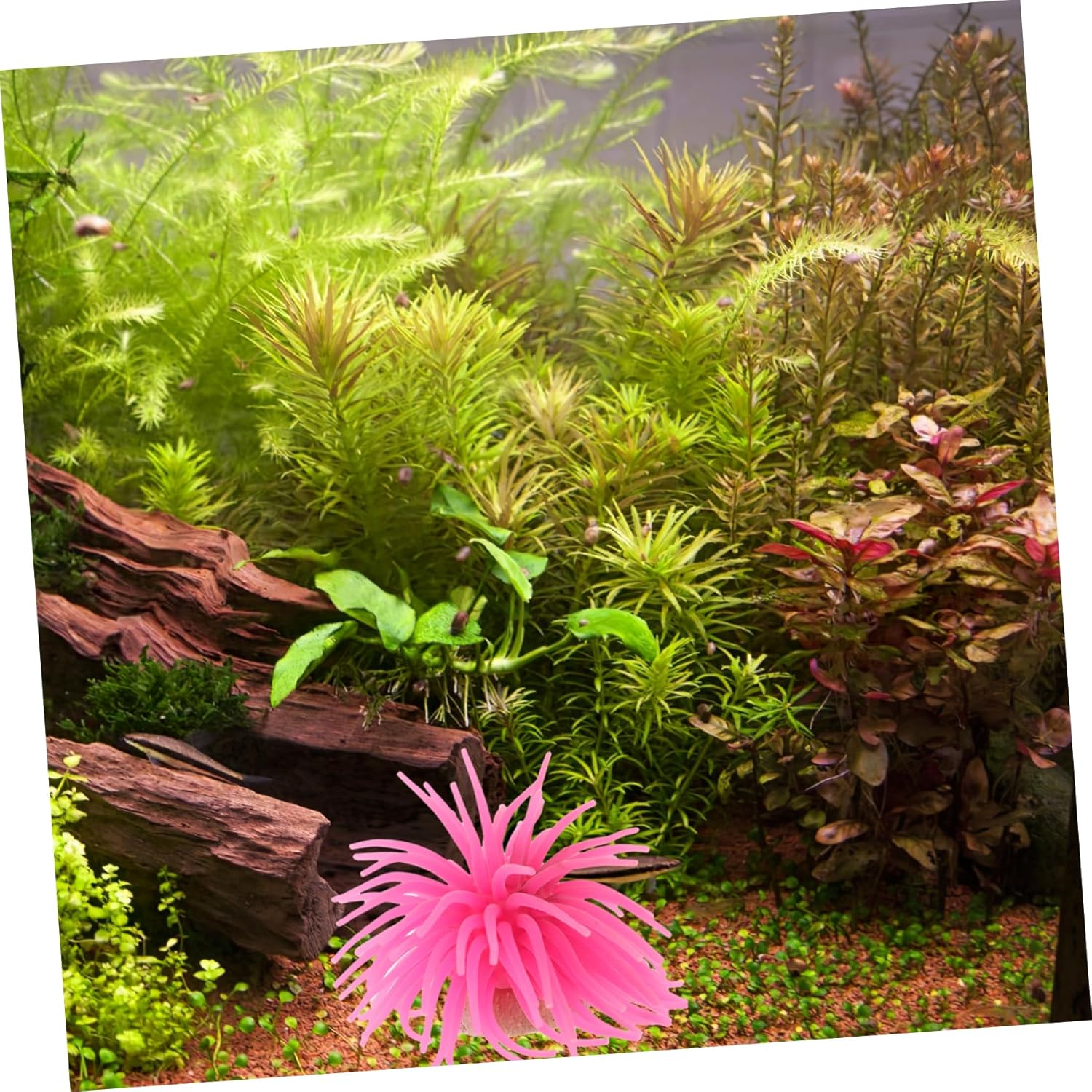 Didiseaon 4 unids Decoración Falso Mar Coral Adorn Fish Tank Paisaje Acuario Suministros Ornamento Subacuático Silicona Coral Acuario Equipo