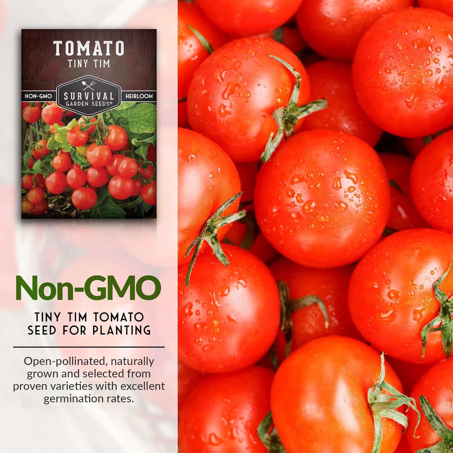 Survival Garden Seeds – Tiny Tim Semilla de tomate para plantar – Paquete con instrucciones para plantar y cultivar tomates pequeños en tu huerto