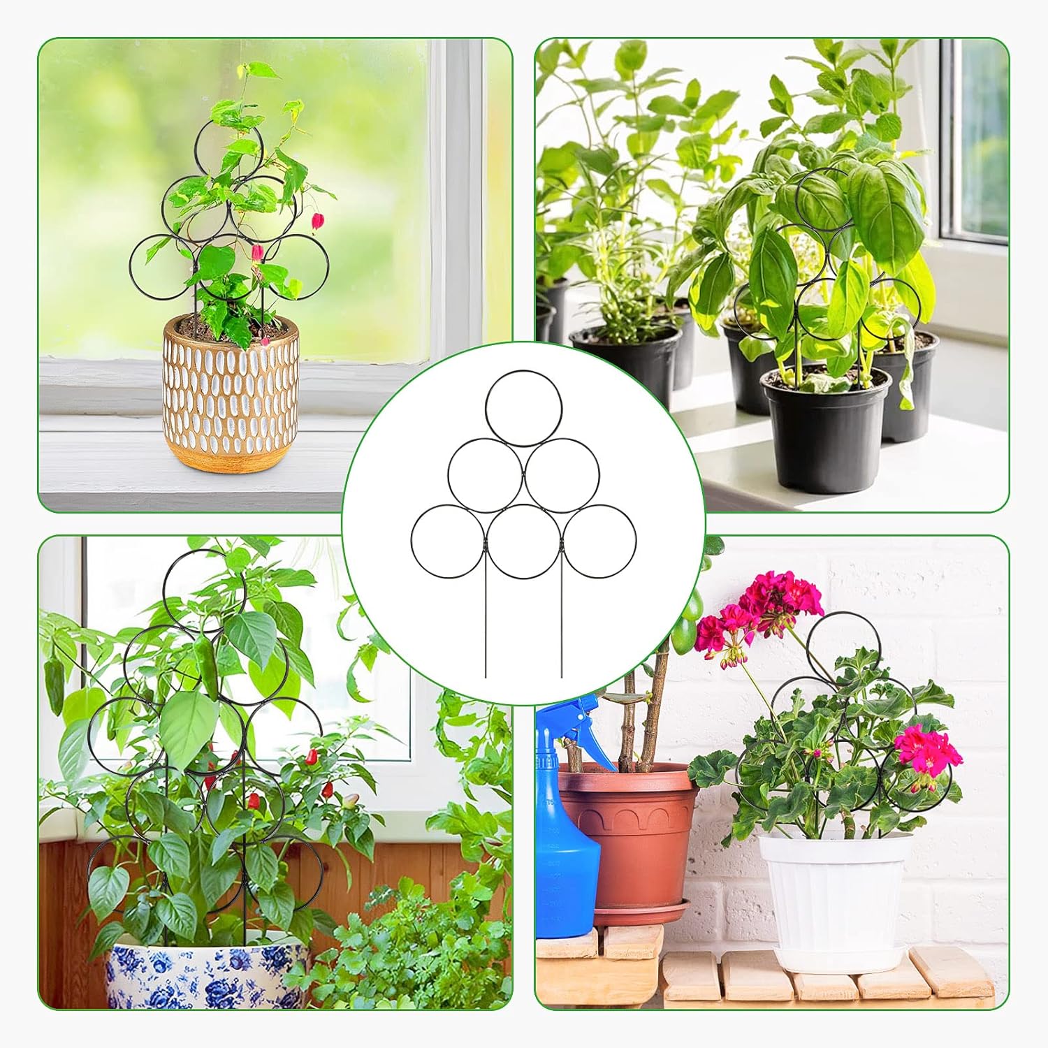 GROWNEER Paquete de 6 enrejados de jardín pequeños para plantas en maceta, enrejado de plantas de interior de 15.7 pulgadas, soporte apilable para