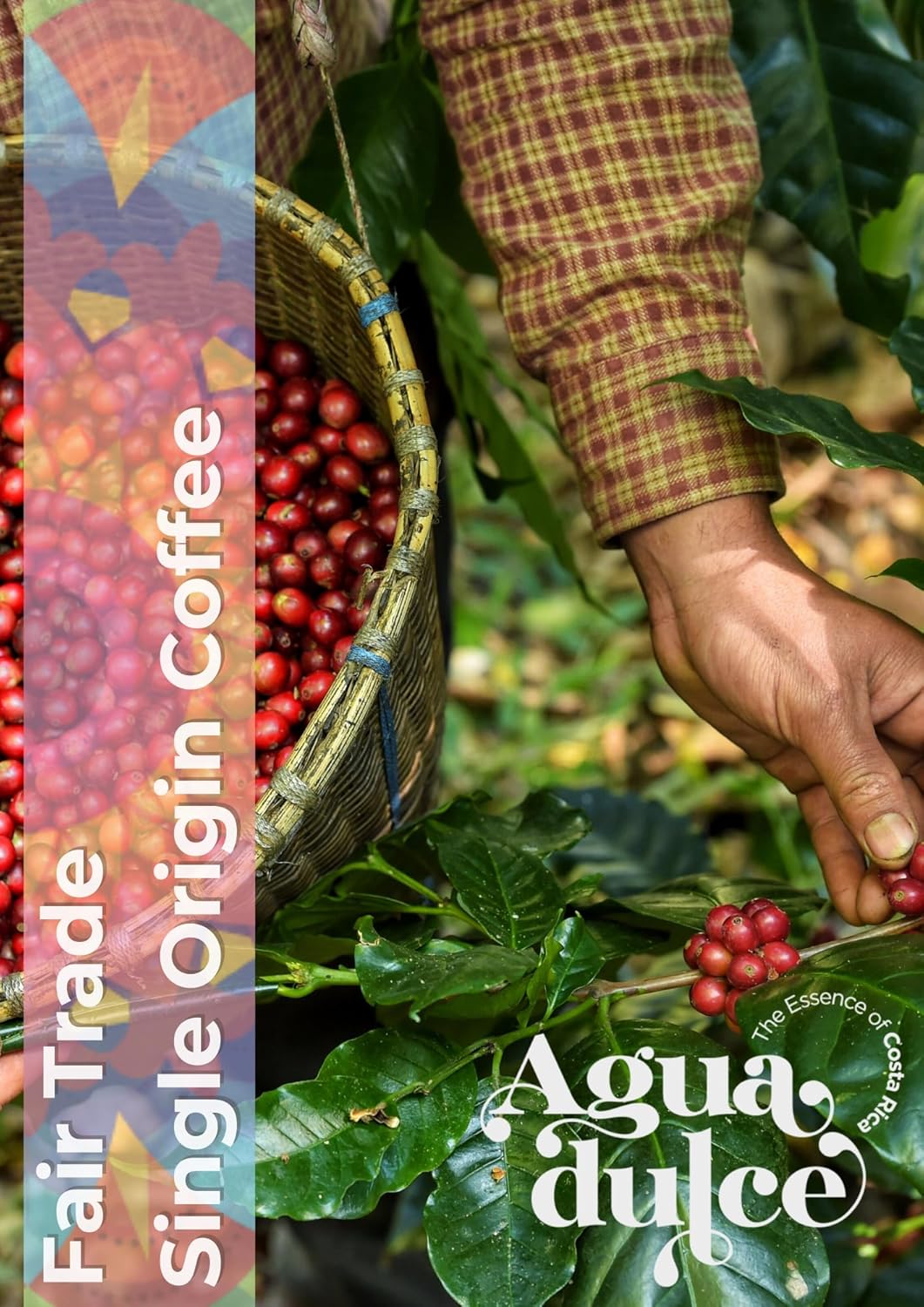 Agua Dulce Café especial 100% arábica de origen único de comercio justo gourmet de miel de Costa Rica proceso o selección de tostado medio (tostado