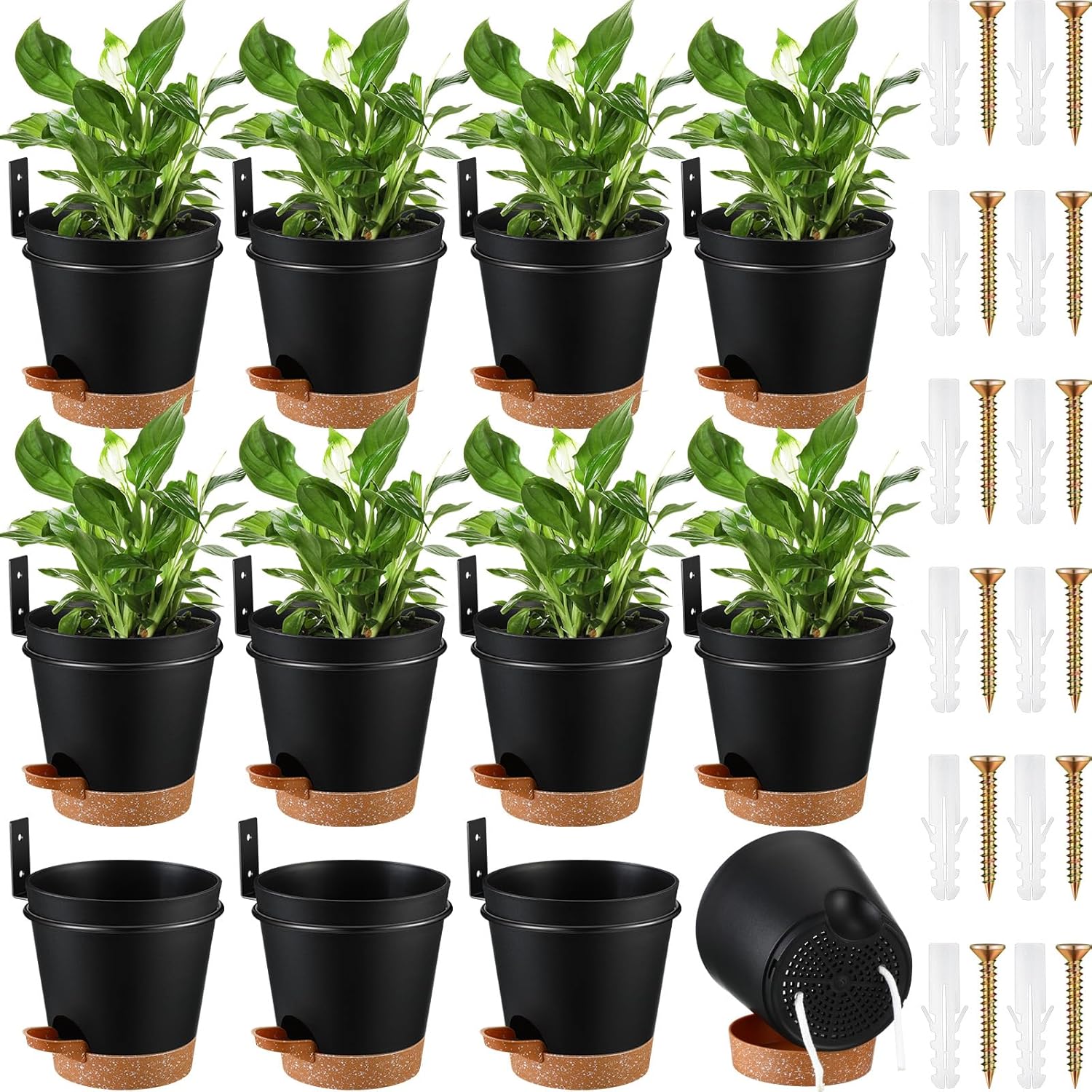 12 juegos de macetas de pared para plantas de interior de 6 pulgadas, con riego automático, 12 macetas de metal dorado con anillo de soporte y