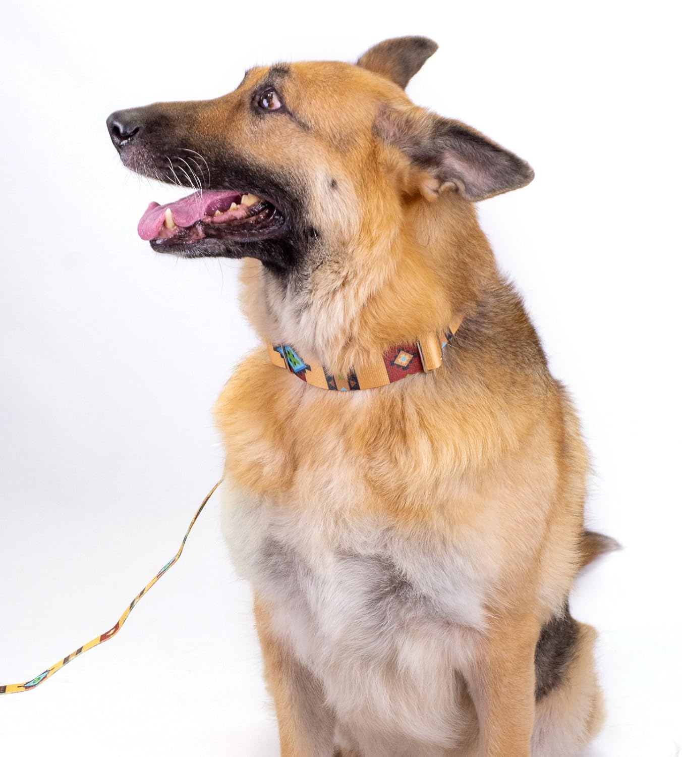 Country Brook Design Correa para perro Native Arizona de 1 pulgada – 6 pies