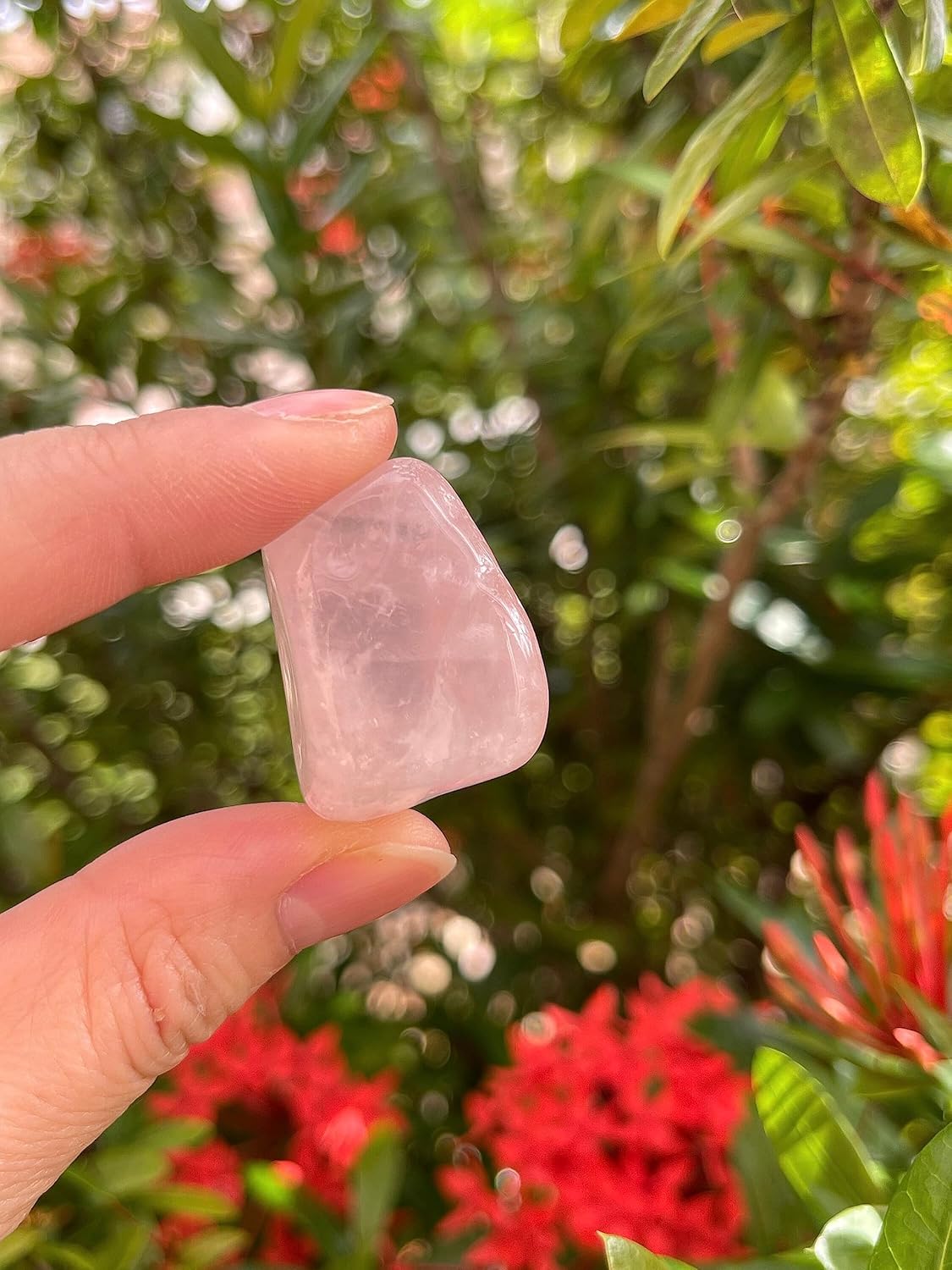 GAF TREASURES Piedras pulidas de 12 libra, piedra preciosa pulida, piedras pulidas, cristales caídos, piedras para Wicca, Reiki, terapia, meditación