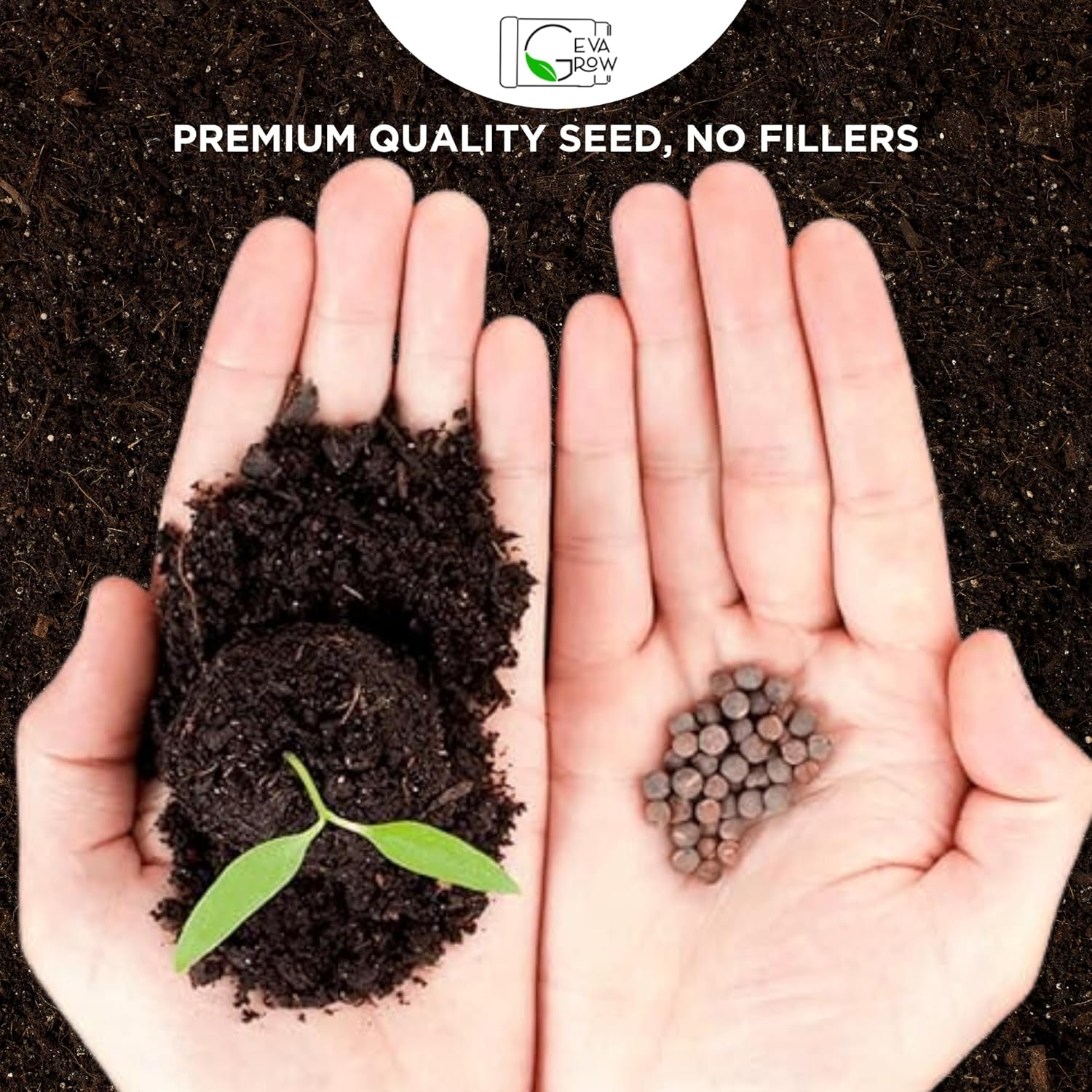 Bulk Regional – Semillas de flores silvestres occidentales, orgánicas, sin OMG, semillas 100% puras, 18 variedades de semillas a granel, más de