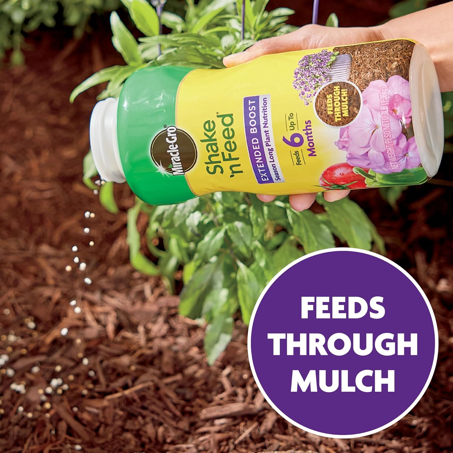 Miracle-Gro Shake ‘n Feed Extended Boost, fertilizante para plantas, alimenta hasta 6 meses, 3 libras.
