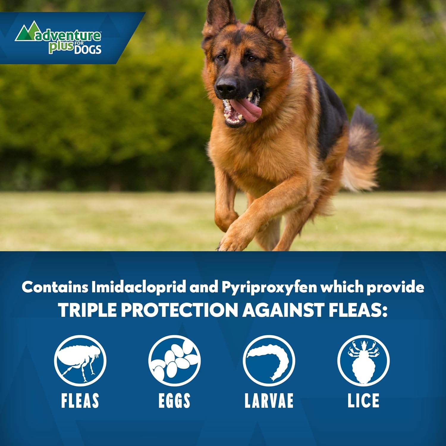 Adventure Plus para perros, pack de 4