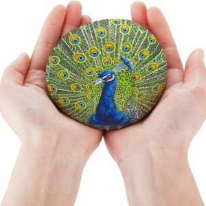 ROCART 12 rocas planas grandes de 3.15-4.15 pulgadas para pintar, rocas lisas de río, suministros de pintura para piedras de bondad, artes y ROCART 12 rocas planas grandes de 3.15-4.15 pulgadas para pintar, rocas lisas de río, suministros de pintura para piedras de bondad, artes y