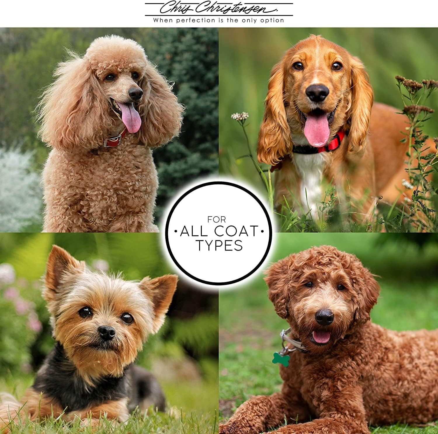 Chris Christensen King Arthur’s Knight Out Grooming – Colonia para mascotas, arregla como un profesional, de larga duración, fragancias de
