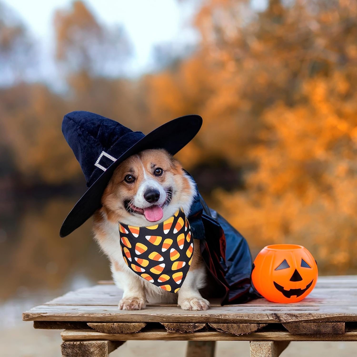 Bandana de Halloween para perro y gato, babero navideño y patrón de maíz de caramelo para cachorros grandes, medianos y pequeños mascotas