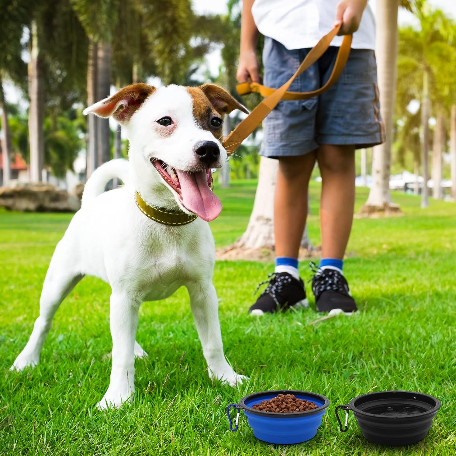 COLLAPSIBLE Paquete de 2 cuencos de viaje para perros pequeños, cuencos plegables para agua para gatos, plato portátil para alimentación de mascotas