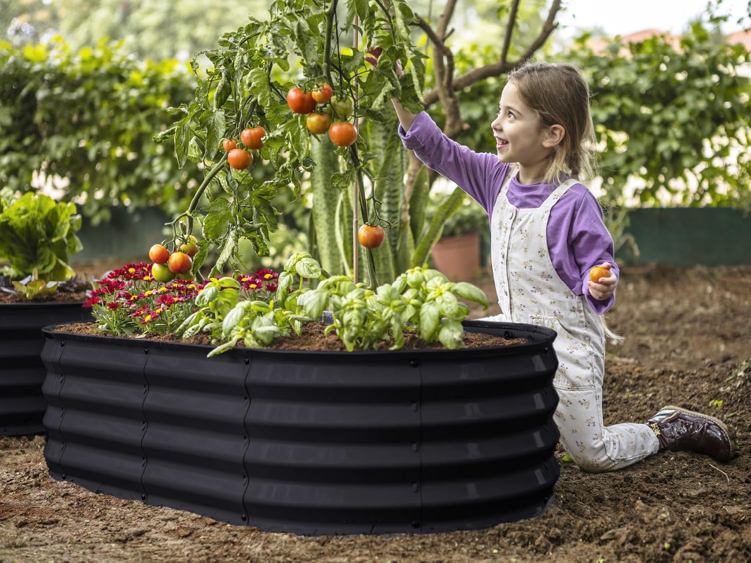 Camas de jardín elevadas galvanizadas al aire libre  4 x 2 × 1 pie plantador elevado camas elevadas para jardinería, verduras, flores  Caja de