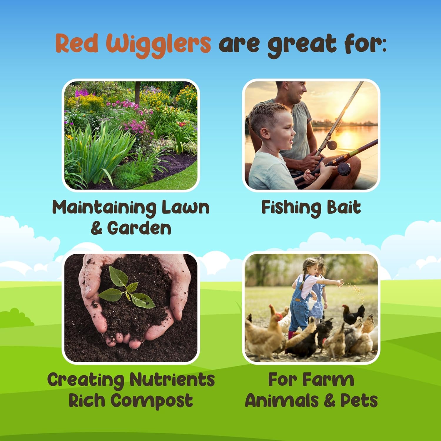 Red Wigglers – Gusanos de compostaje – 34 libras (750 unidades) gusanos rojos para contenedor de compostaje, gusanos vivos para jardinería, gusanos