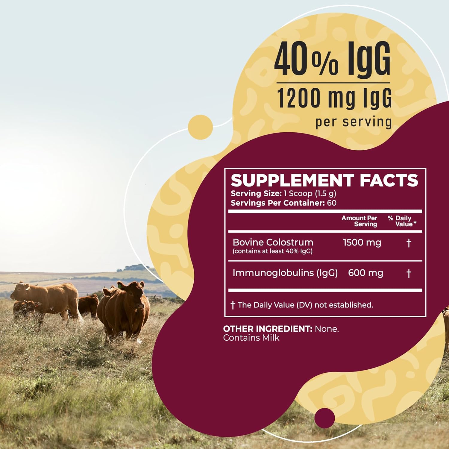 Polvo de calostro bovino  40% IgG altamente concentrado calostro bovino puro para humanos  Suplemento de calostro alimentado con pasto para apoyo
