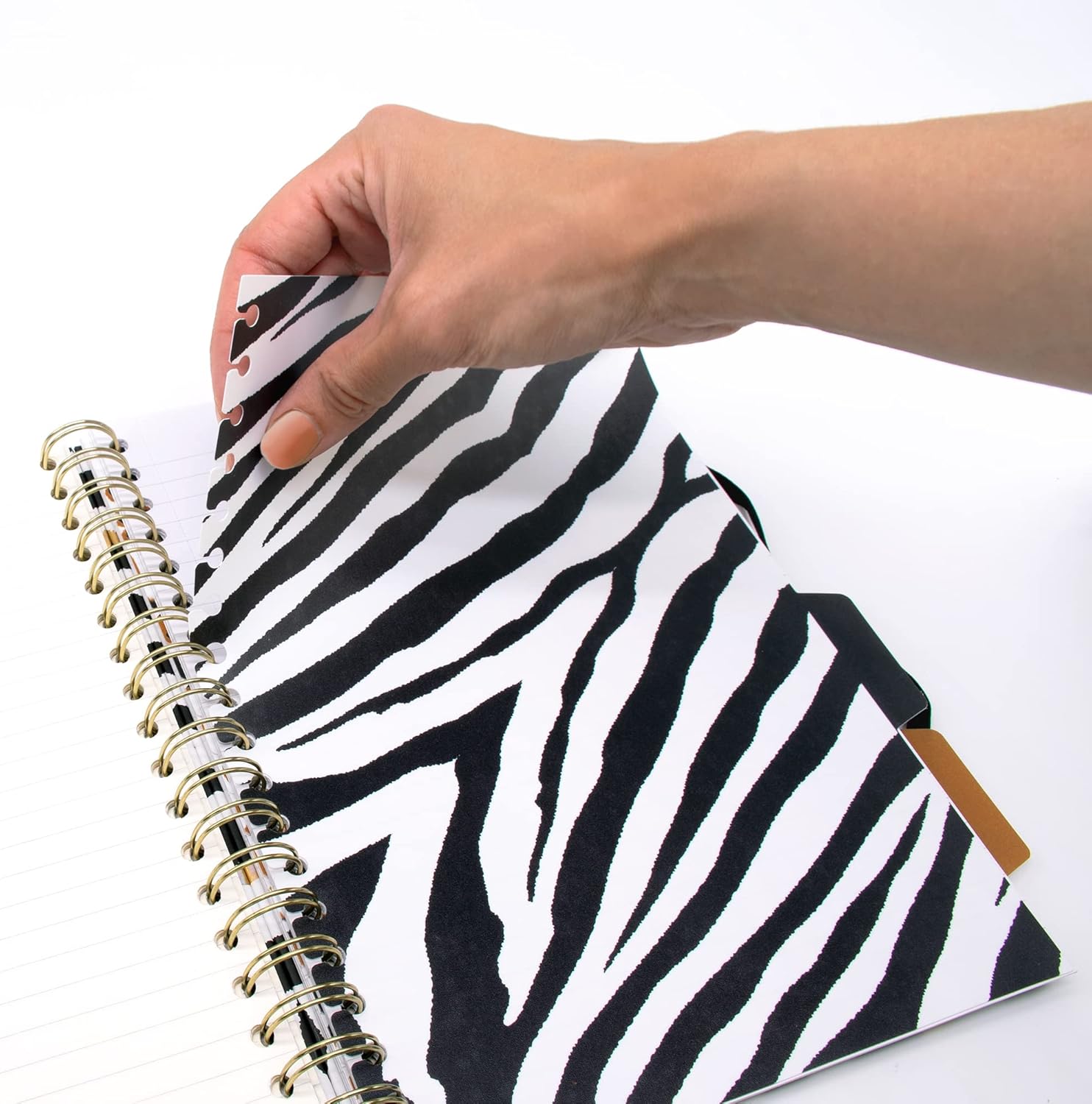 Pukka Pad, Wild B5 – Libros de proyectos de tapa dura, paquete de 2 cuadernos encuadernados con diseño de cebra y leopardo, incluye 4 divisores