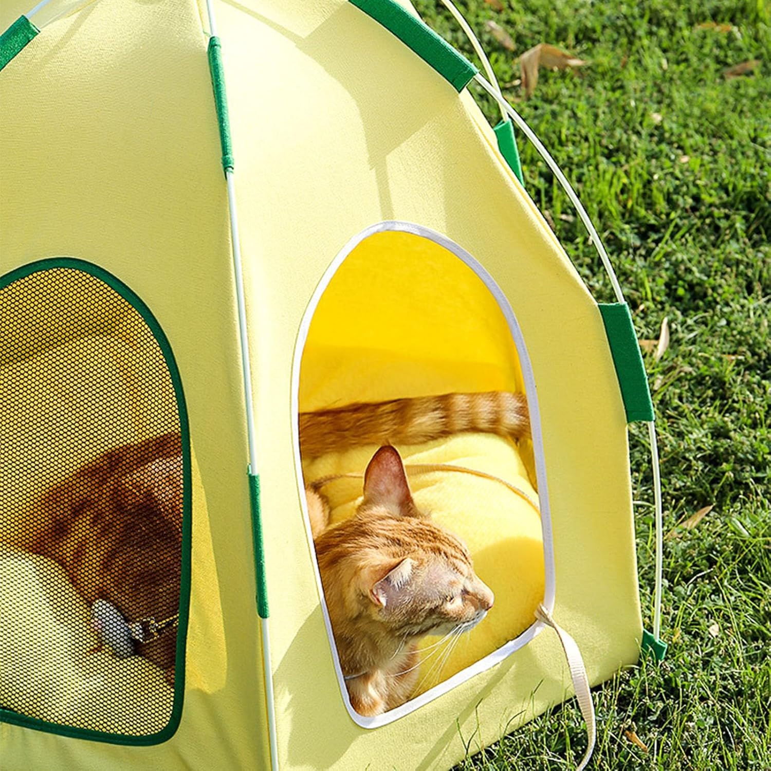 Tipi para mascotas, cama portátil para interior tipo tipi para perros, linda casa de refrigeración para mascotas, desmontable y lavable con malla