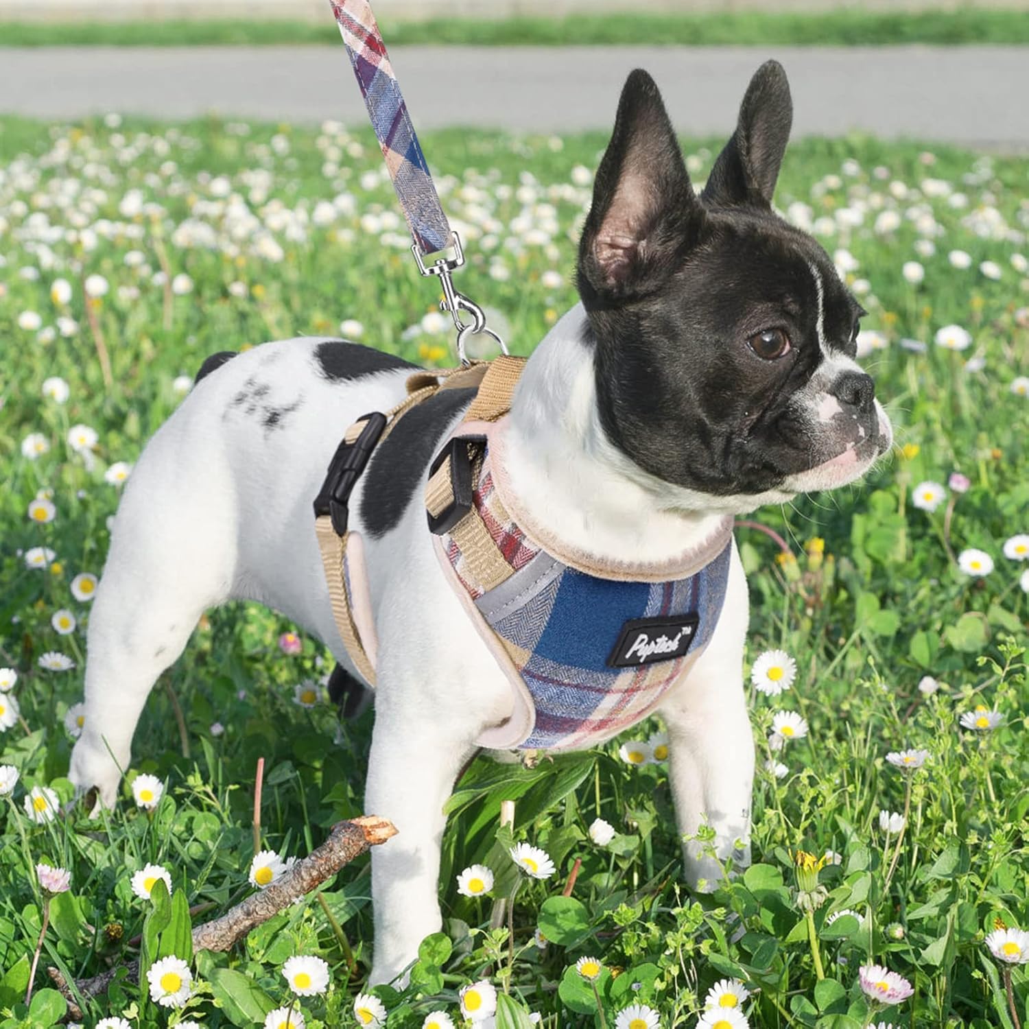 PUPTECK Juego de arnés y collar de correa para perros pequeños y medianos, cachorros y gatos, sin tirones, ajustable, reflectante, de malla suave,