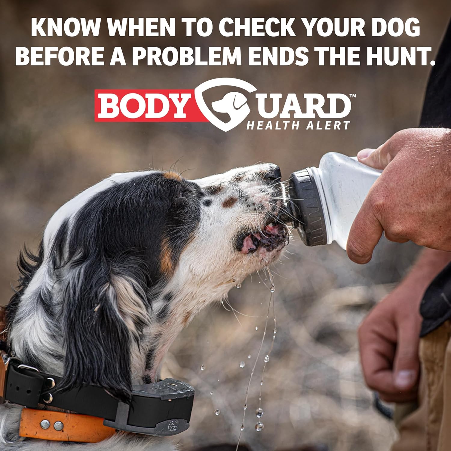 SportDOG Brand FieldSentinel 825 – Entrenador remoto con alertas de salud BodyGuard  El primer collar electrónico para perros con monitoreo de salud