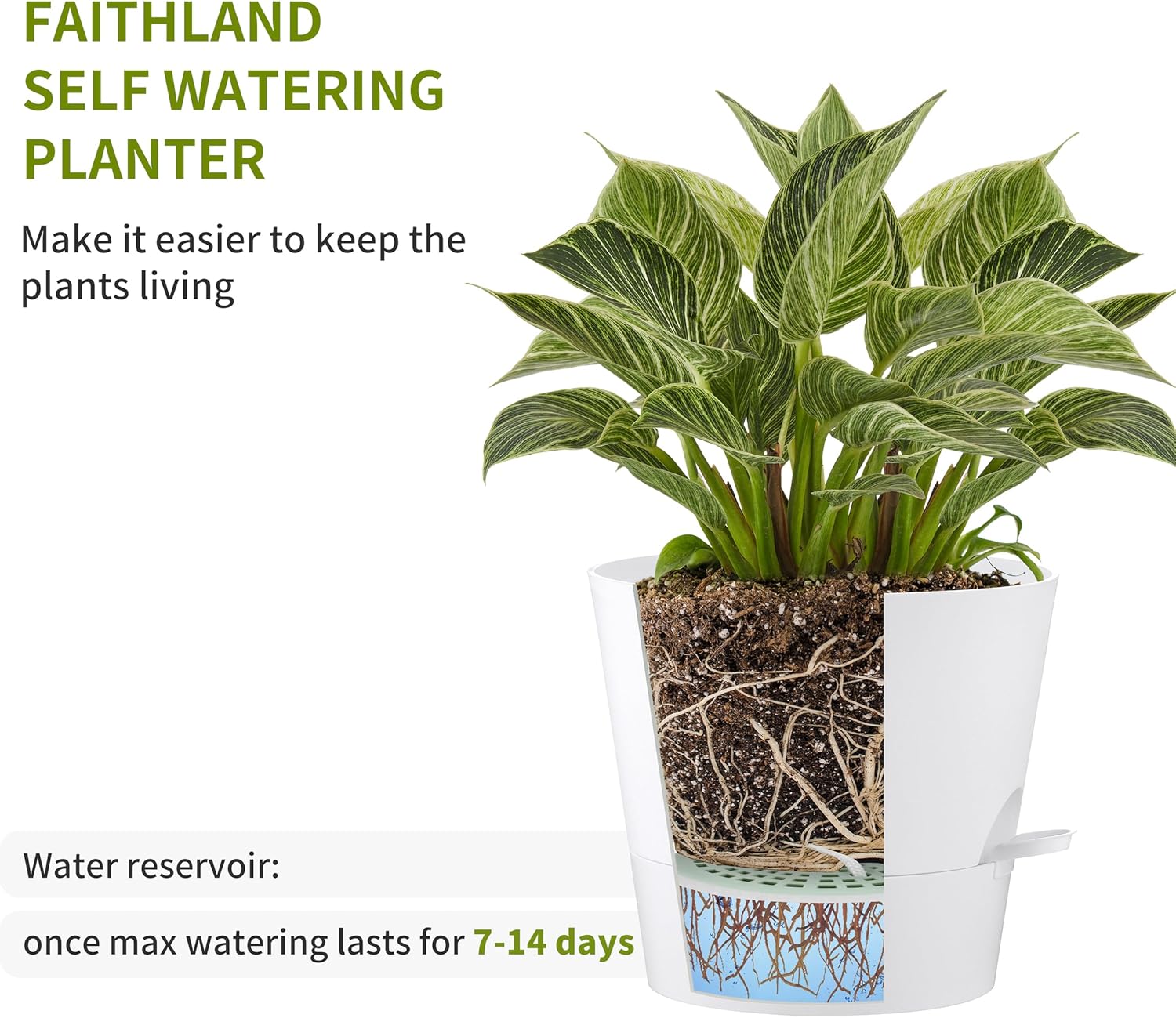 FaithLand Paquete de 2 macetas de 10 pulgadas para plantas de interior y exterior, macetas de riego automático con depósito profundo, color blanco