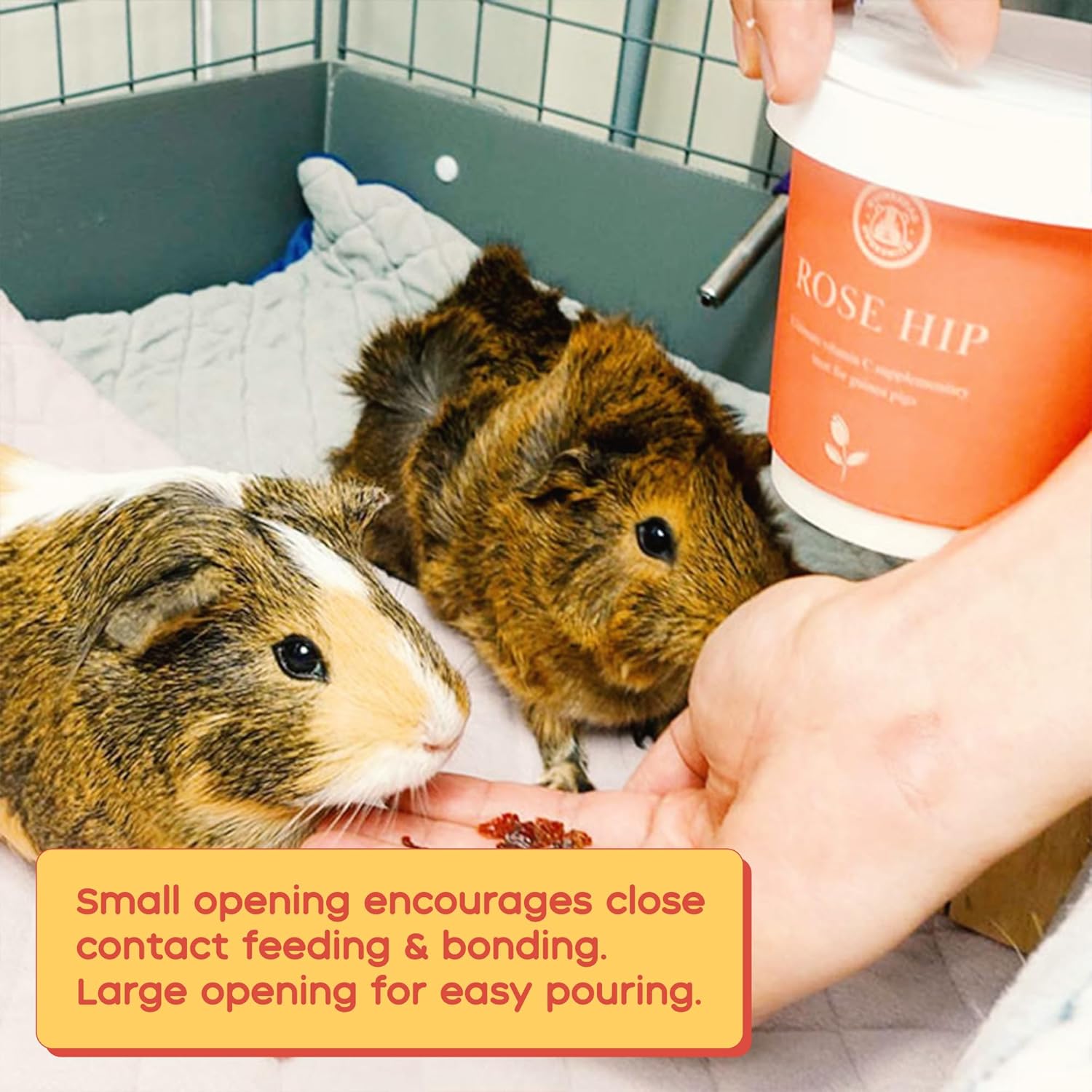 GuineaDad Golosinas de hierbas orgánicas de conejillo de indias  Comida para conejillo de indias con un embalaje conveniente  Sabor a rosa mosqueta
