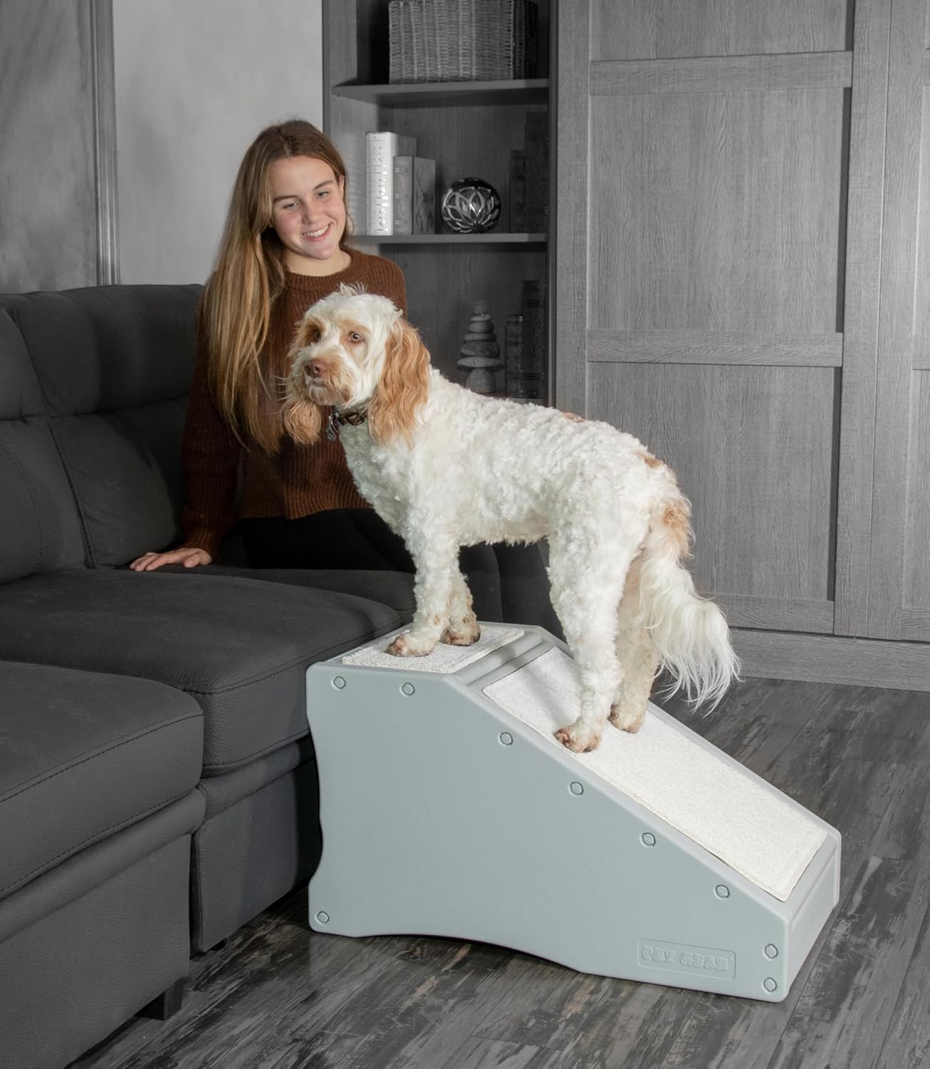 Pet Gear – Combinación de escalera y rampa para perrosgatos, fácil paso, ligeroportátil, resistente, fácil montaje (no requiere herramientas), 2