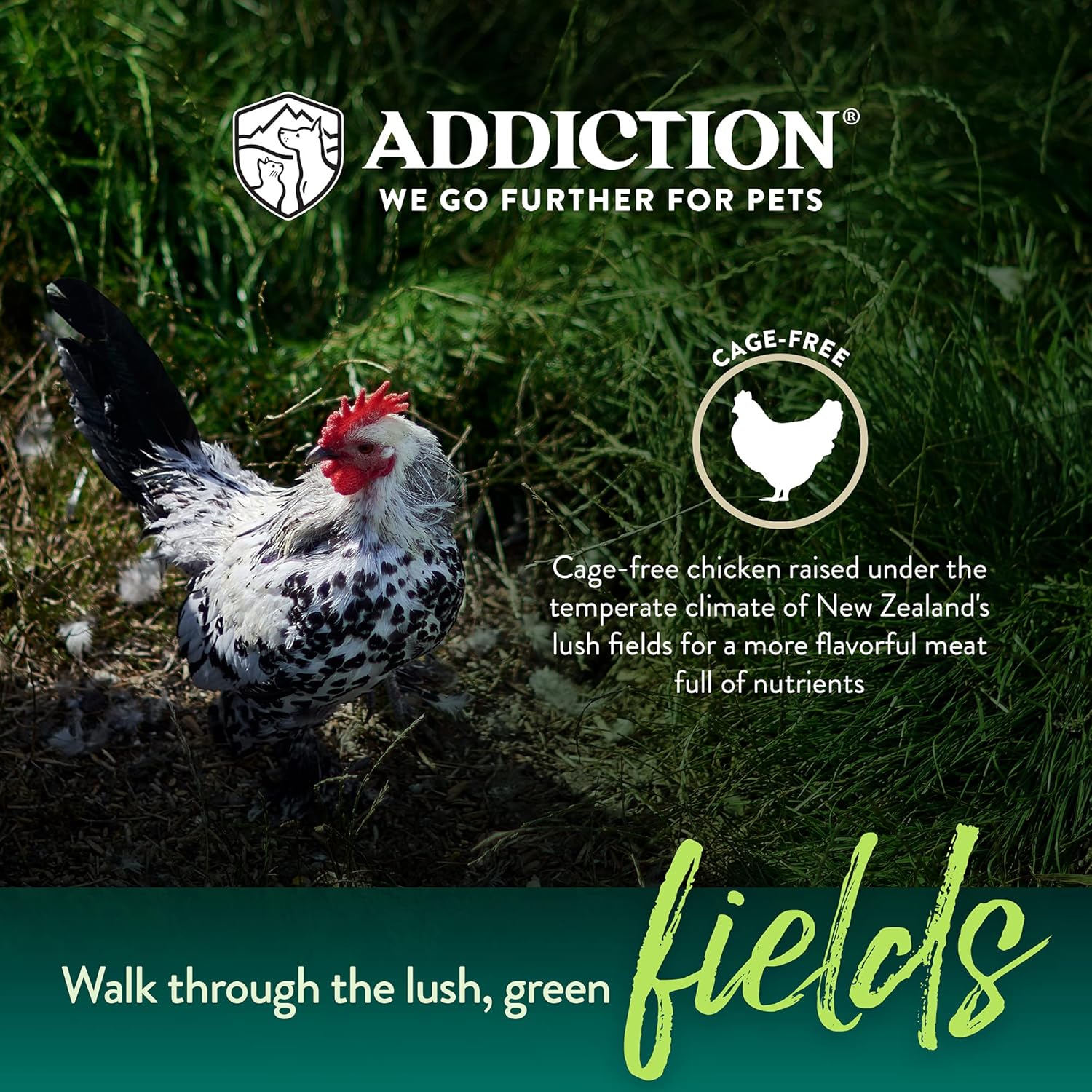 Addiction Raw dehydrated Grain-Free Dog Food, país pollo y albaricoque, 2lbs por Addiction mascota Alimentos