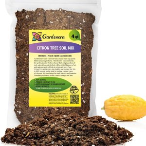 Mezcla de tierra de árbol de cítricos de Gardenera, la mezcla perfecta de fórmula de drenaje rápido, nutrientes esenciales para árboles de cítricos Mezcla de tierra de árbol de cítricos de Gardenera, la mezcla perfecta de fórmula de drenaje rápido, nutrientes esenciales para árboles de cítricos