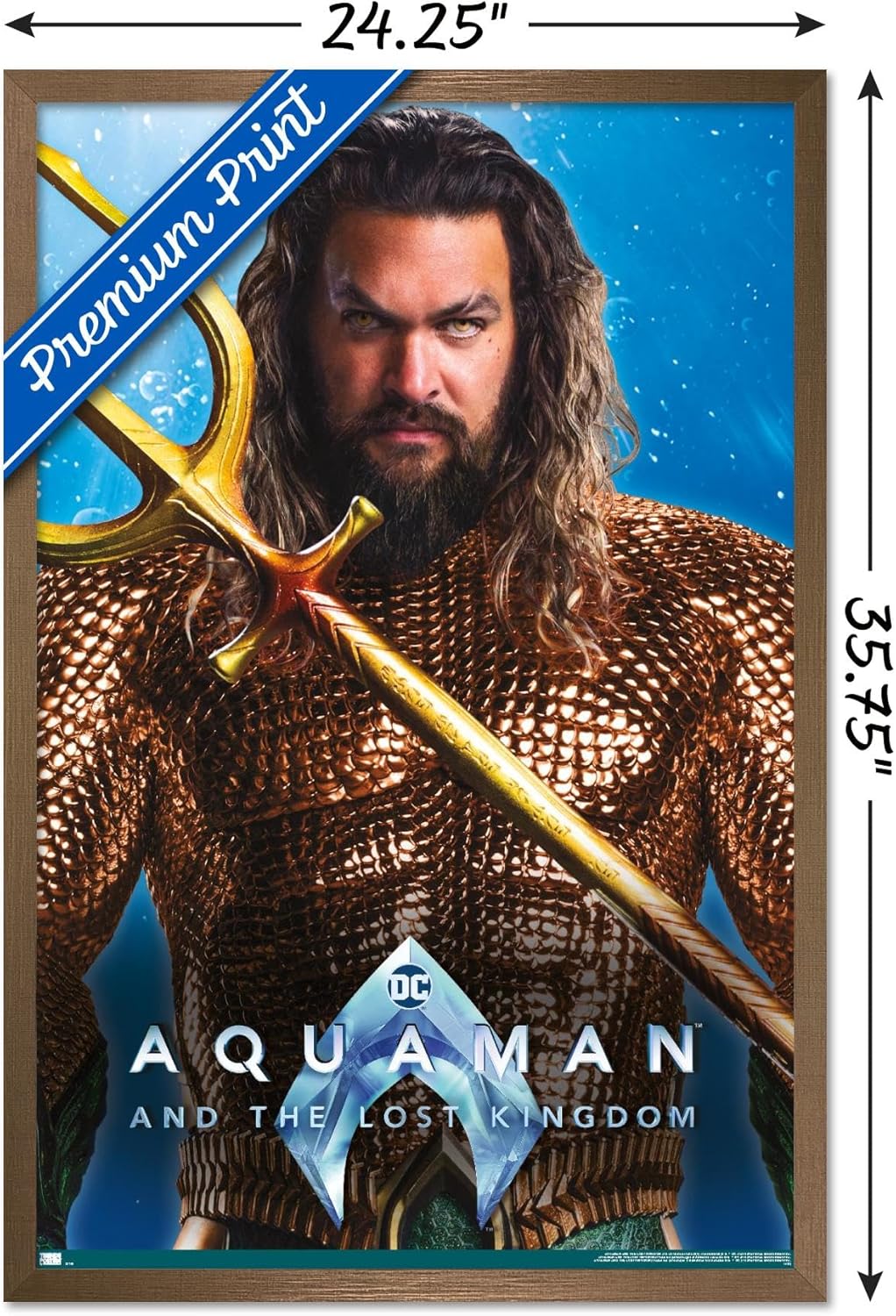 Trends International DC Comics Movie Aquaman y el Reino Perdido – Póster de pared de Aquaman, 22.37 x 34.00 pulgadas, versión enmarcada en bronce