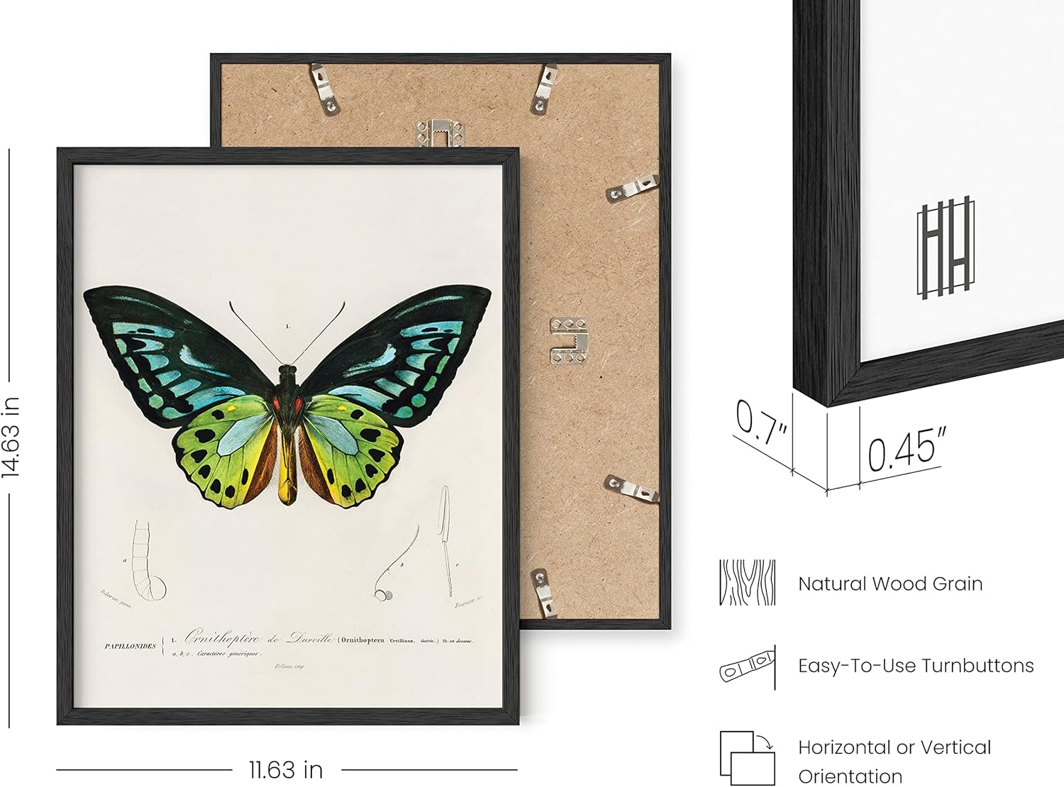 HAUS AND HUES Arte de pared impresionista, juego de 6 pinturas clásicas de plantas, cuadros artísticos de Van Gogh para decoración de pared de sala
