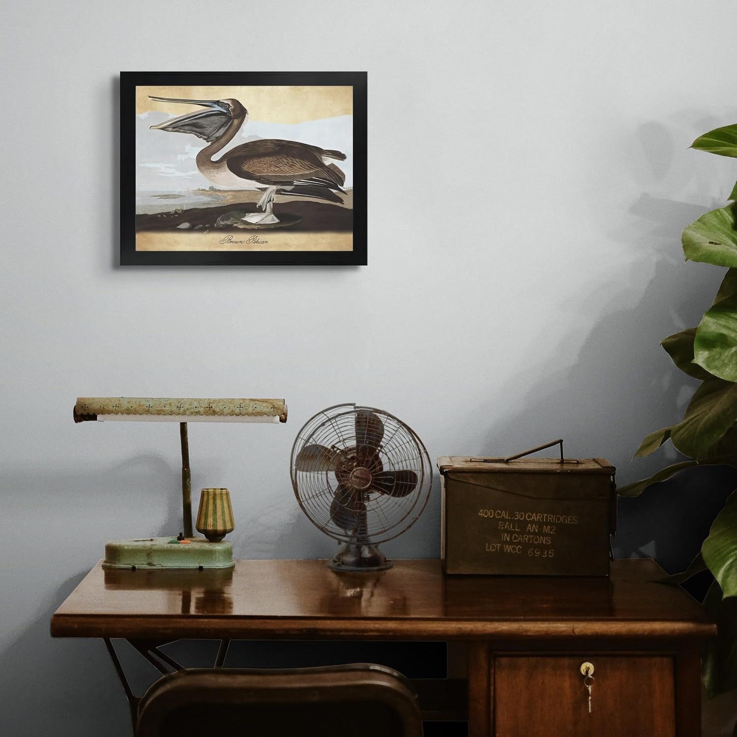 Brown Pelican por James Audubon – Marco biselado negro de 12 x 16 pulgadas  Decoración artística enmarcada  Reproducción de pinturas de obras de