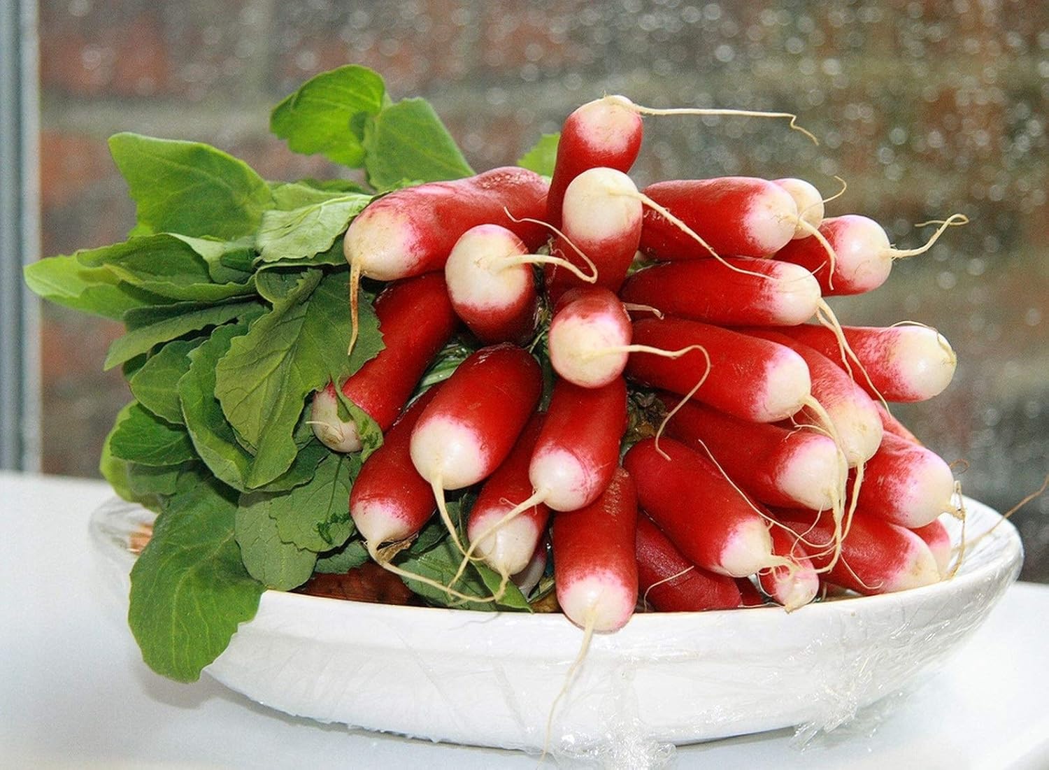 Semillas de Rábano Francés Vegetal 18 Días Temprano Rojo Heirloom – 300 Semillas