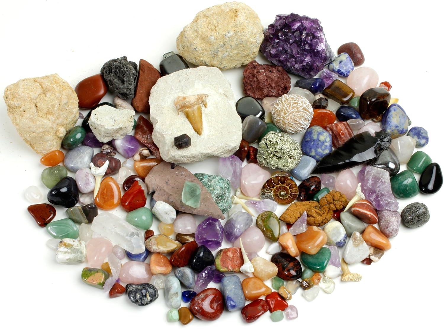 Roca, minerales y fósiles, colección kit de actividades con hojas educativas, amonita, diente de tiburón en matriz, fosilizados, 2geodas y flechas,