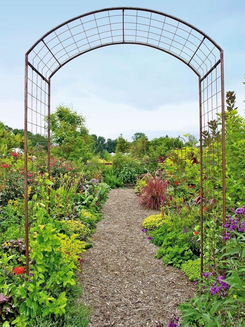 Gardeners Supply Company Jardin – Soporte para plantas de arco de rosas  Decoración de jardín de metal resistente para jardín de flores al aire