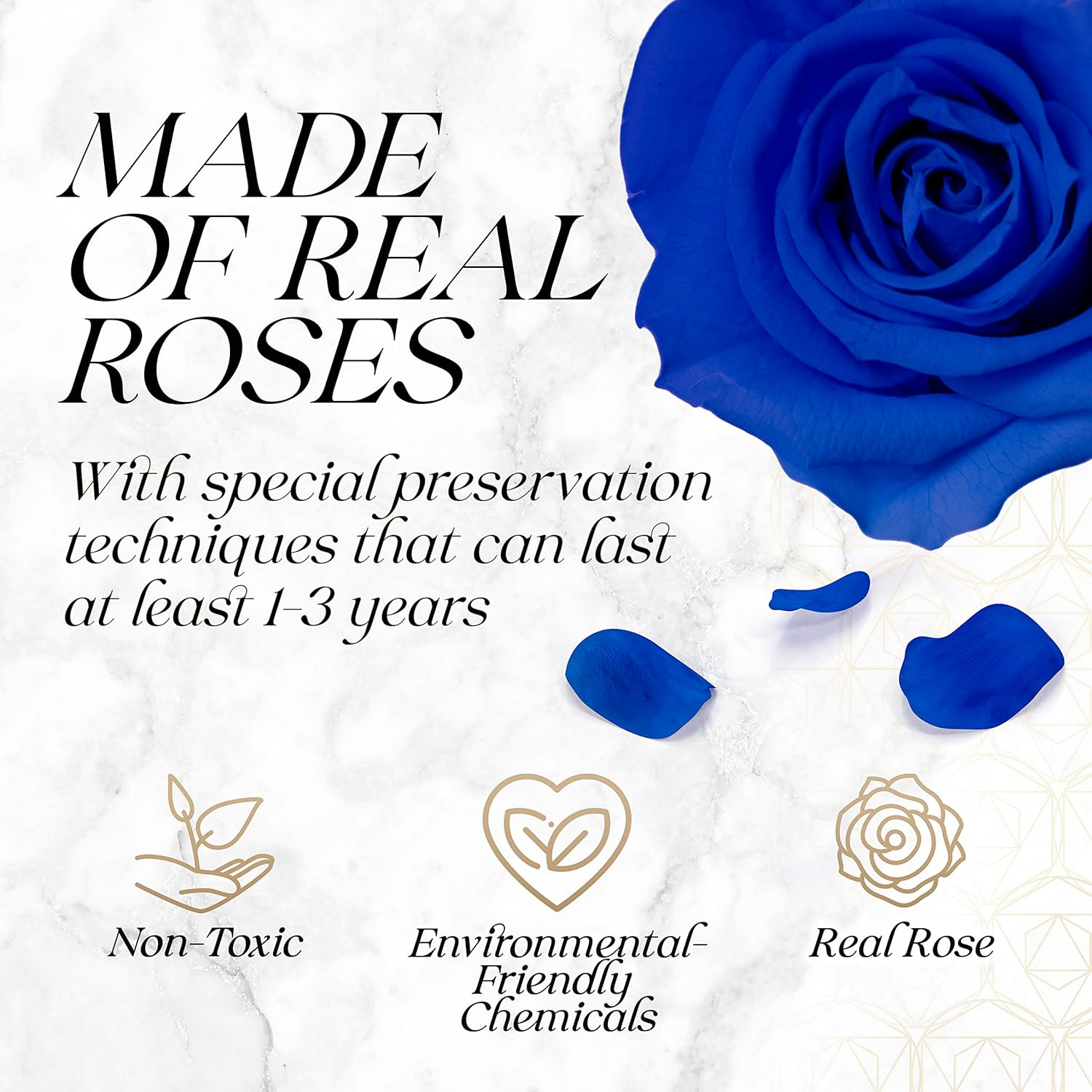GLAMOUR BOUTIQUE Rosas preservadas en una caja, regalos del día de San Valentín para ella y mamá, decoración de 16 piezas de rosas para regalo de