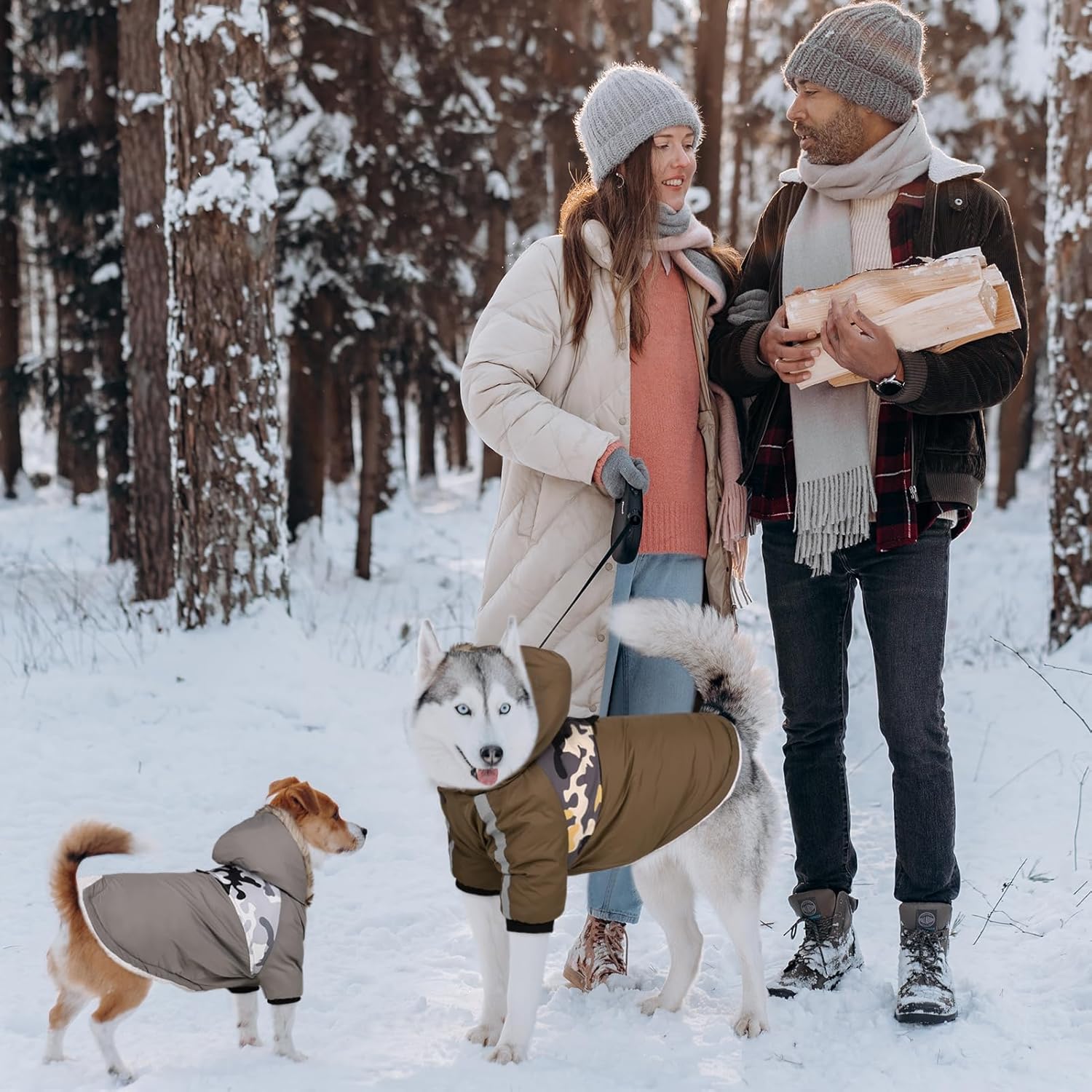 Queenmore Abrigo cálido de invierno para perro, impermeable para clima frío, chaqueta de nieve para perro, sudadera reflectante con capucha para