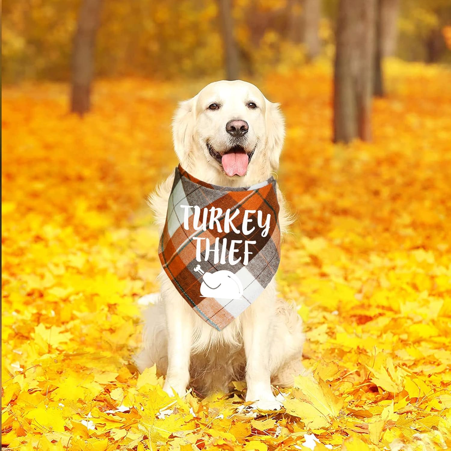 Paquete de 4 bandanas para perros de Halloween, Día de Acción de Gracias, Navidad, bandanas para perros y cachorros, disfraces para perros grandes y