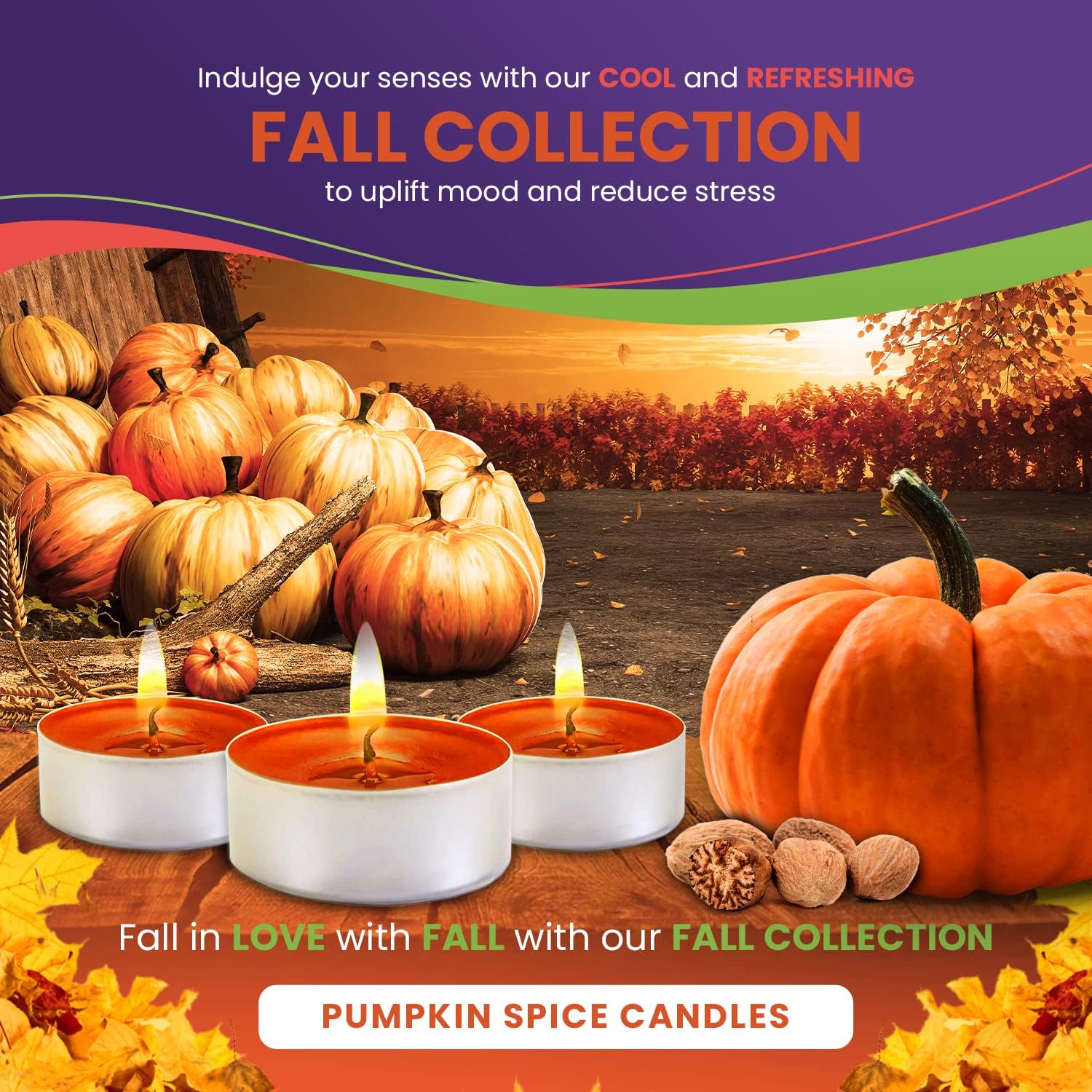 Exquizite velas aromáticas y cera para fundir