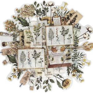 Calcomanías vintage naturales para álbumes de recortes, 40 unidades, flores de otoño, decoración retro, calcomanías adhesivas de acuarela estética Calcomanías vintage naturales para álbumes de recortes, 40 unidades, flores de otoño, decoración retro, calcomanías adhesivas de acuarela estética