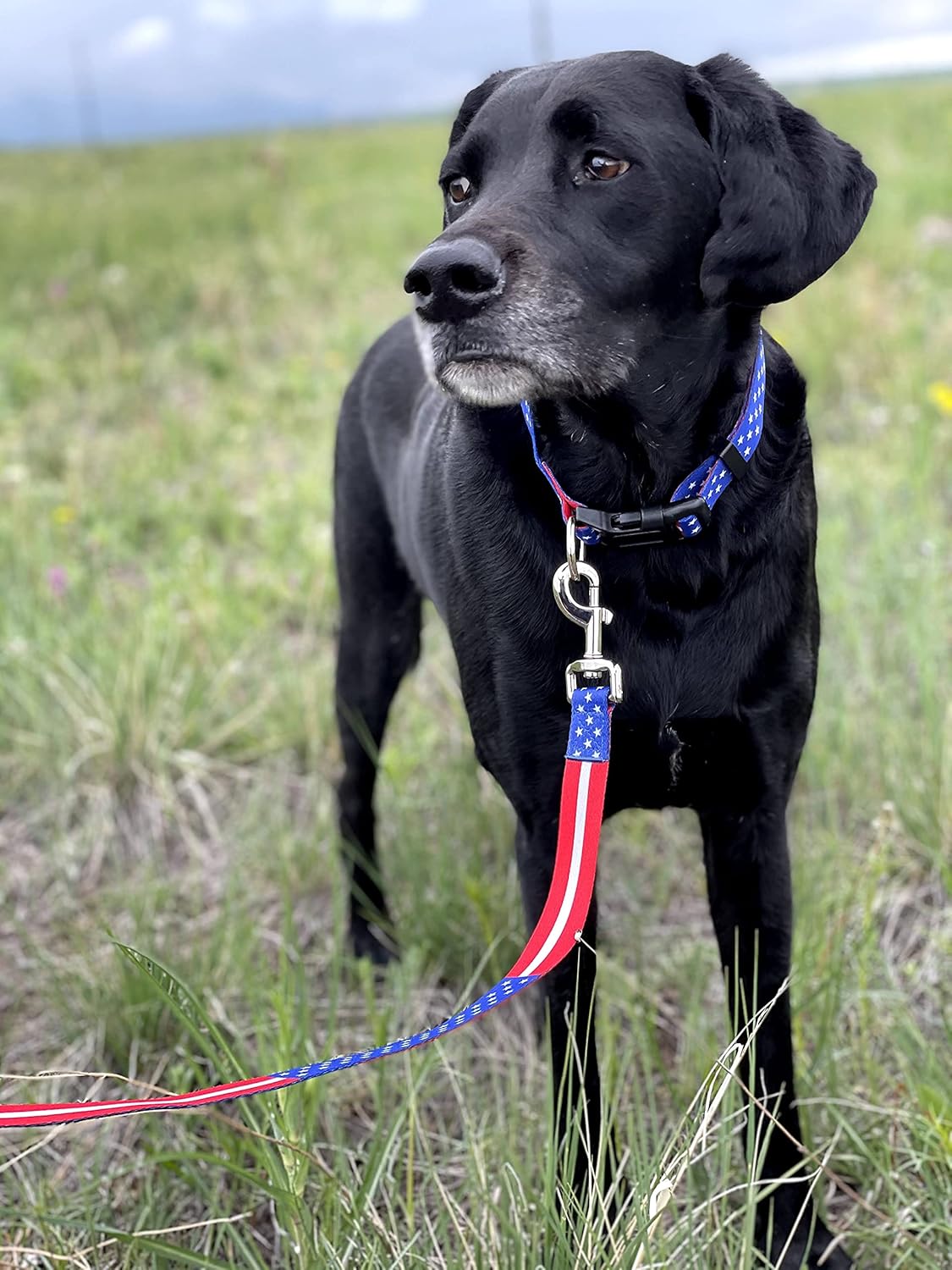 Juego de collar y correa para perro con bandera estadounidense, correa y collares patrióticos de Estados Unidos a juego para el 4 de julio, patrón
