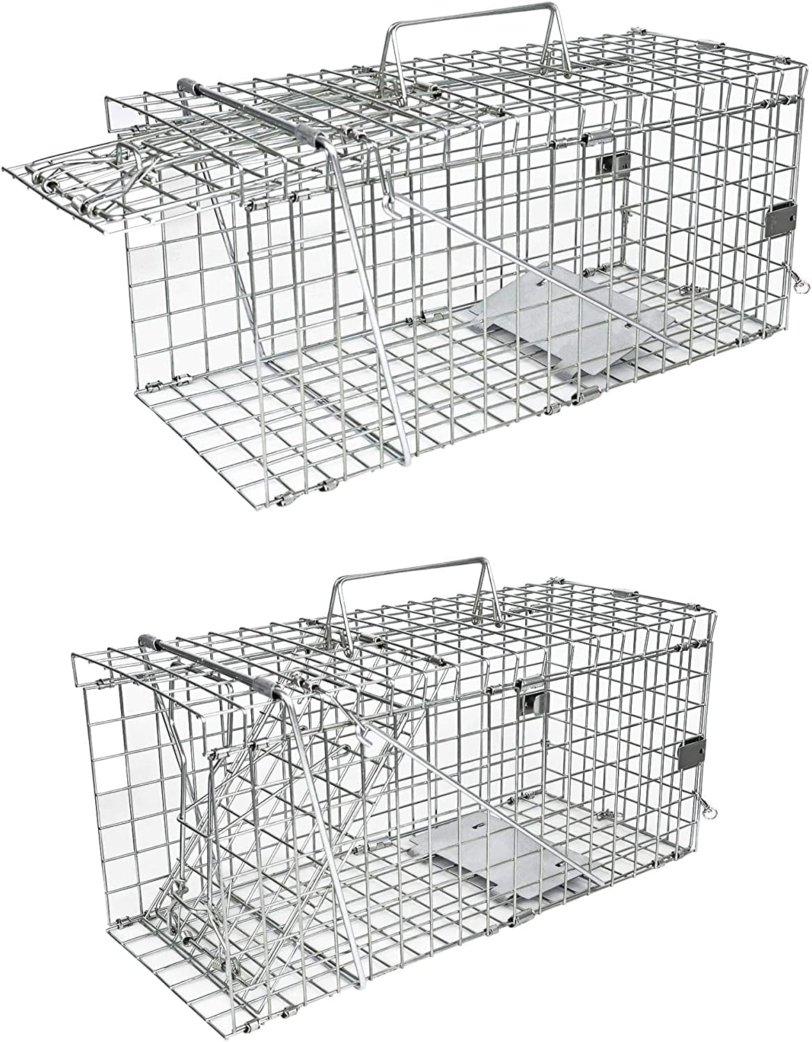 H&B Luxuries Trampa para ratas jaula de animales vivos para ratas, hámster, topo, comadreja, ardillas y más roedores (2 medianos)