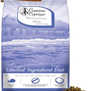 Canine Caviar Wild Ocean – Alimento holístico alcalino para perros con ingredientes limitados, para todas las etapas de la vida, sin gluten, comida Canine Caviar Wild Ocean – Alimento holístico alcalino para perros con ingredientes limitados, para todas las etapas de la vida, sin gluten, comida