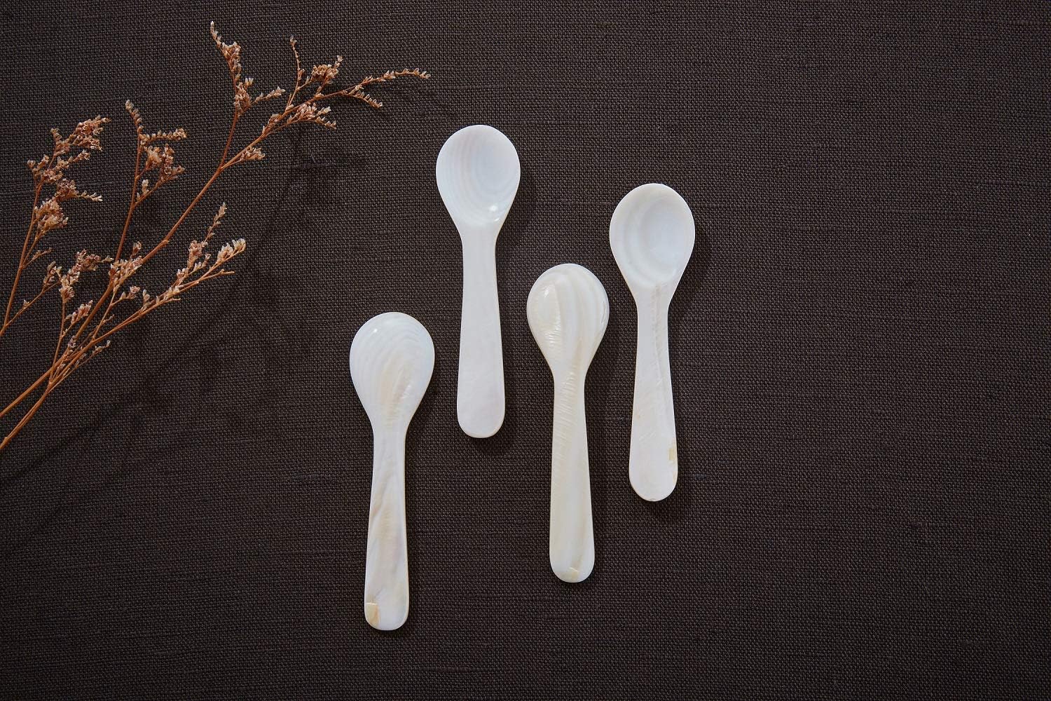 DUEBEL Juego de 10 cucharas de caviar blanco madre perla 2.75 caviar, huevo, porción de café (blanco, 2.8×0.8 in)